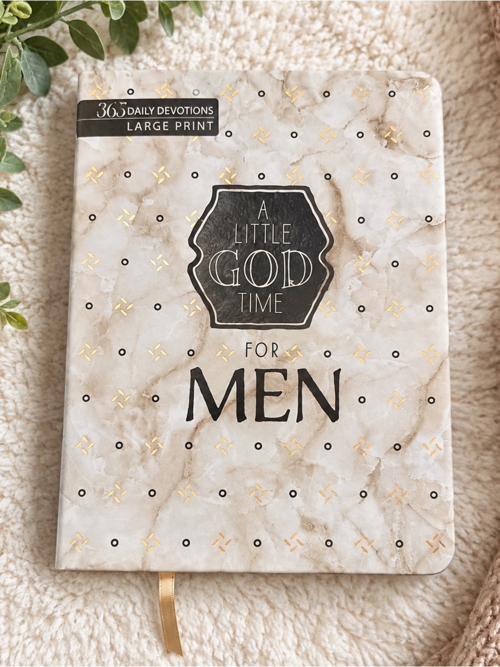 A Little God Time for Men | 365 Daily Devotions ✨